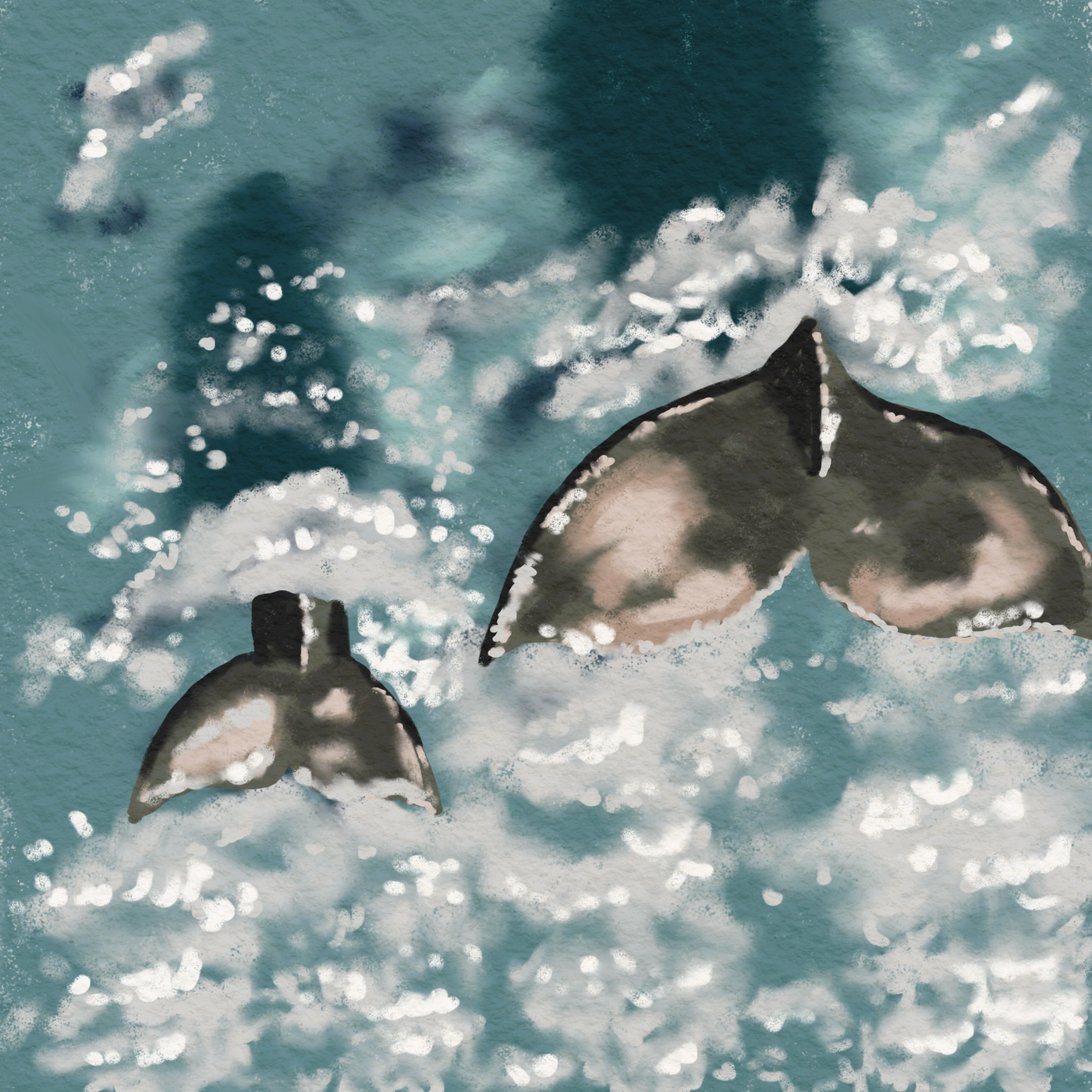 Mother & Baby Whale