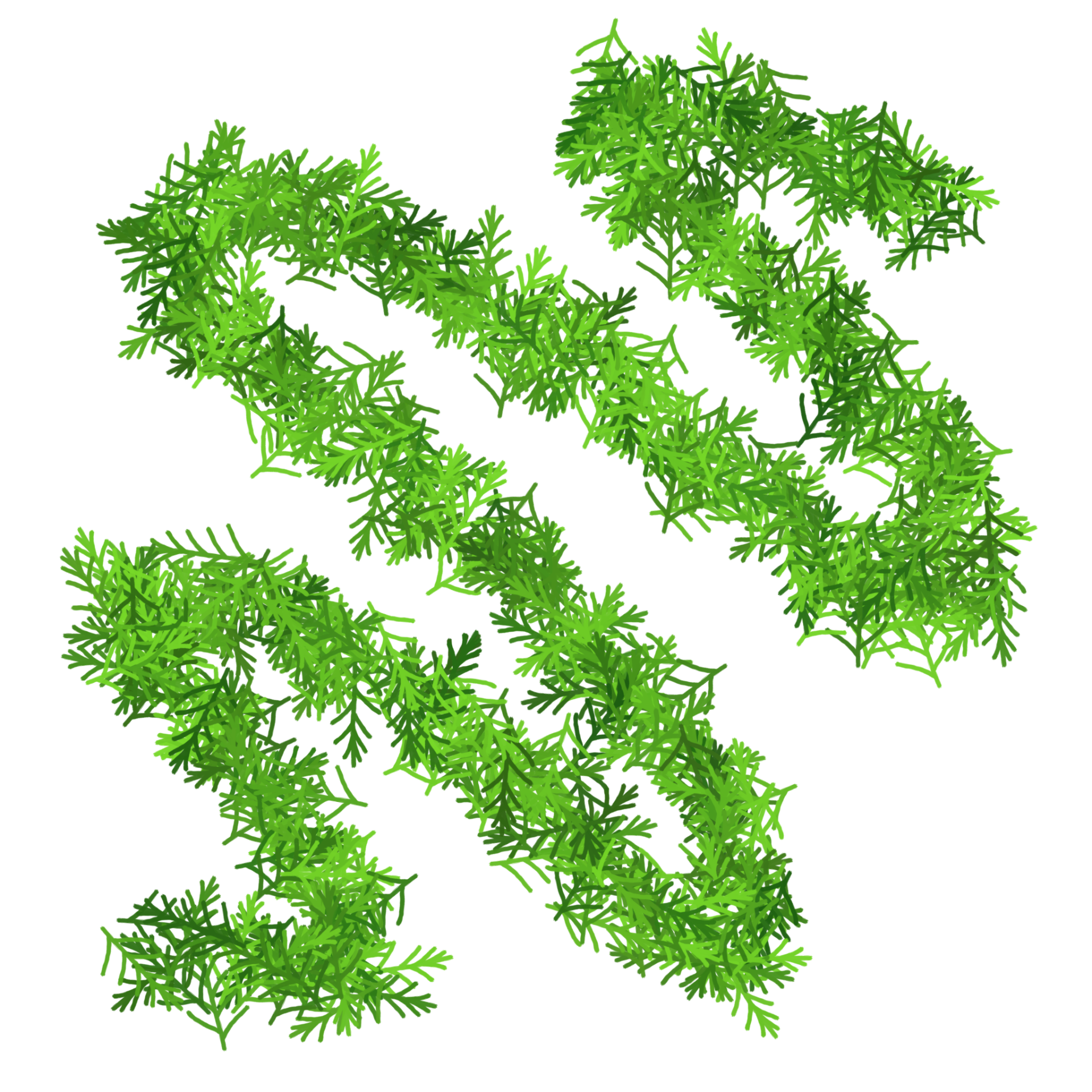 Tree brush sample stroke