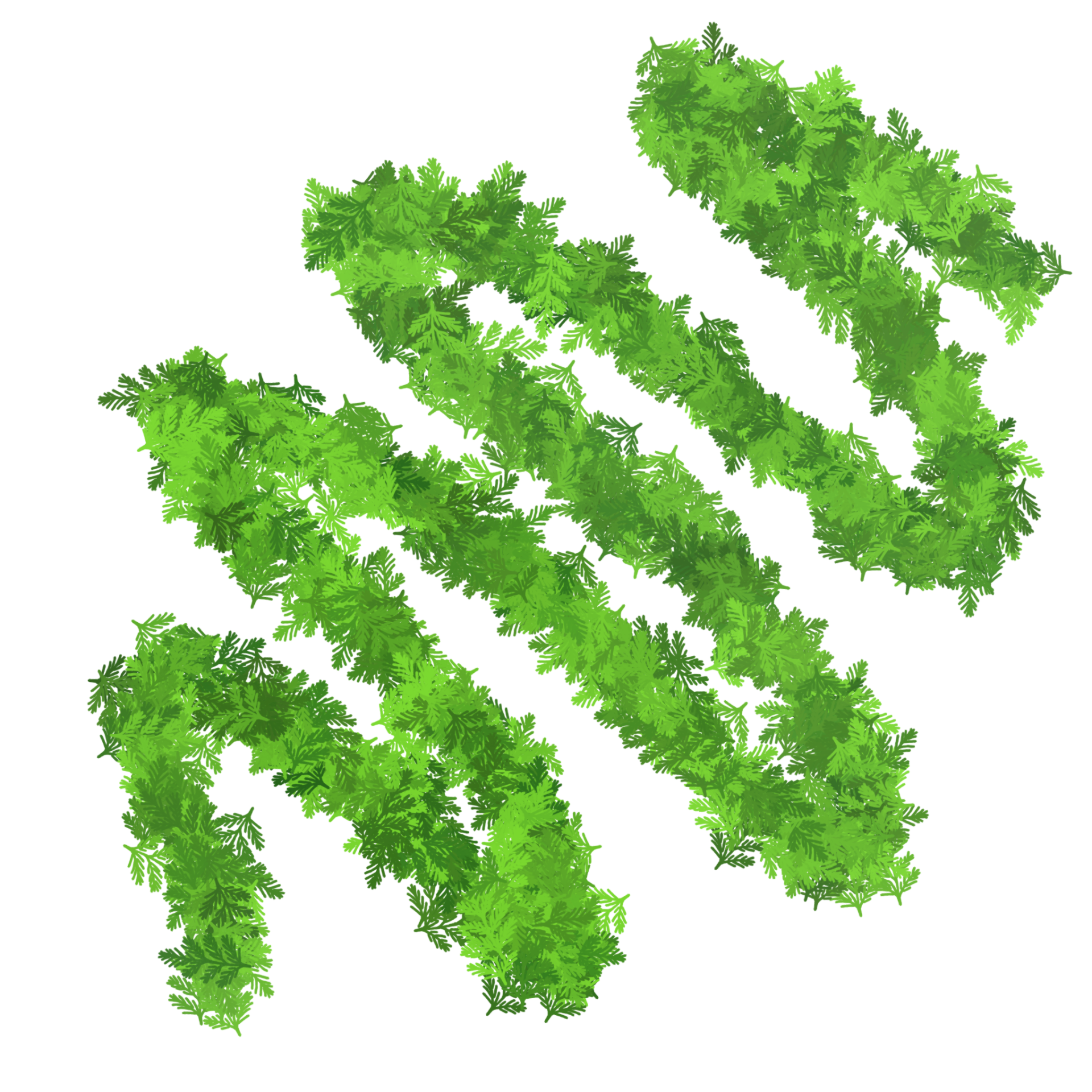 Wreath brush sample stroke